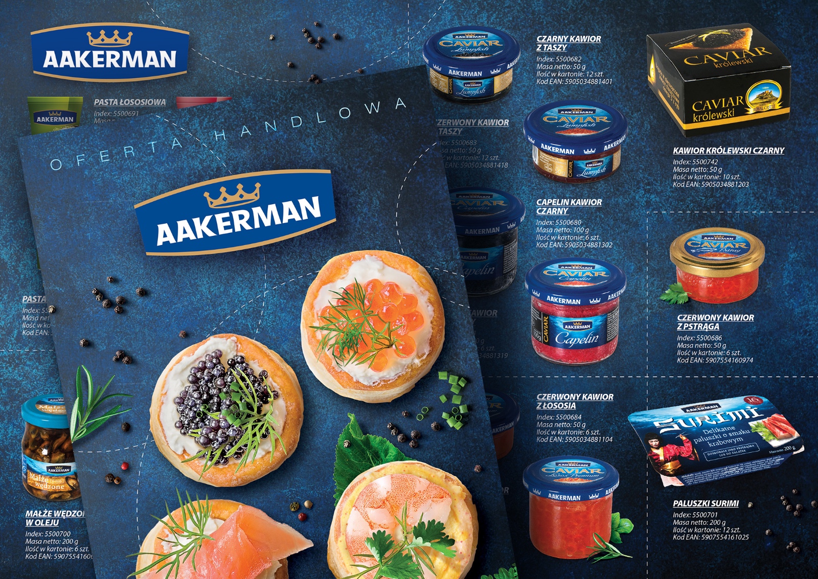 str 2-3 Aakerman katalog